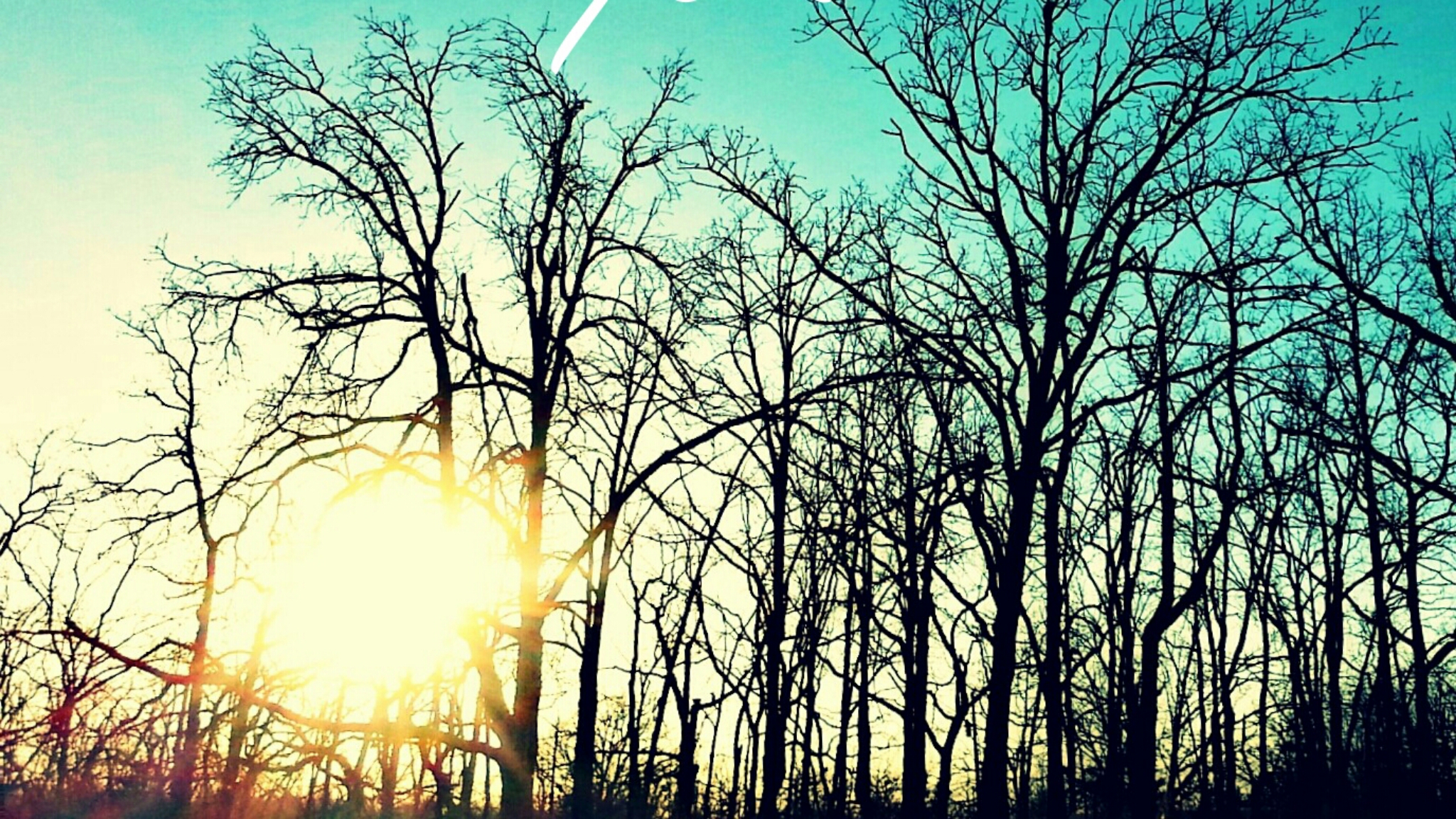 Picsart banner for @leaflet