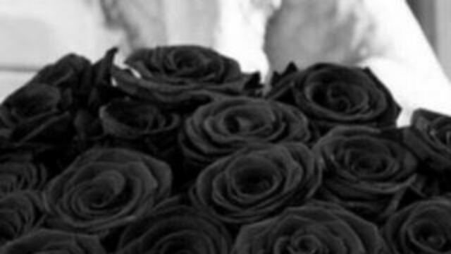 Picsart banner for @vicious