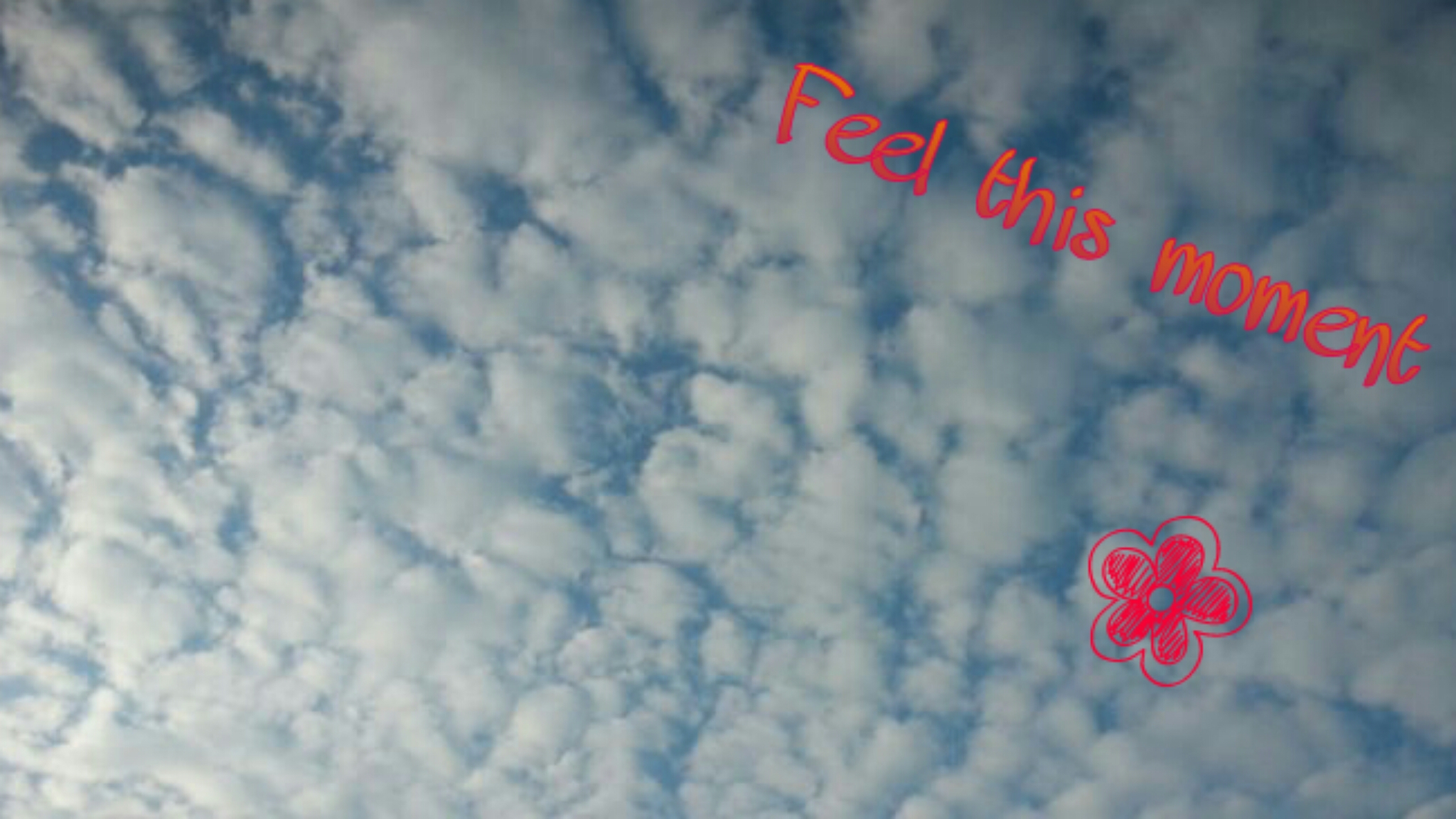 Picsart banner for @feeling