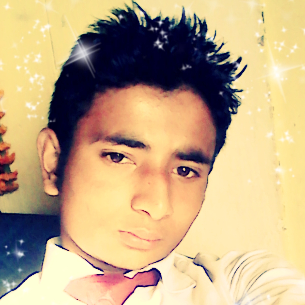 Picsart profile picture for @plot