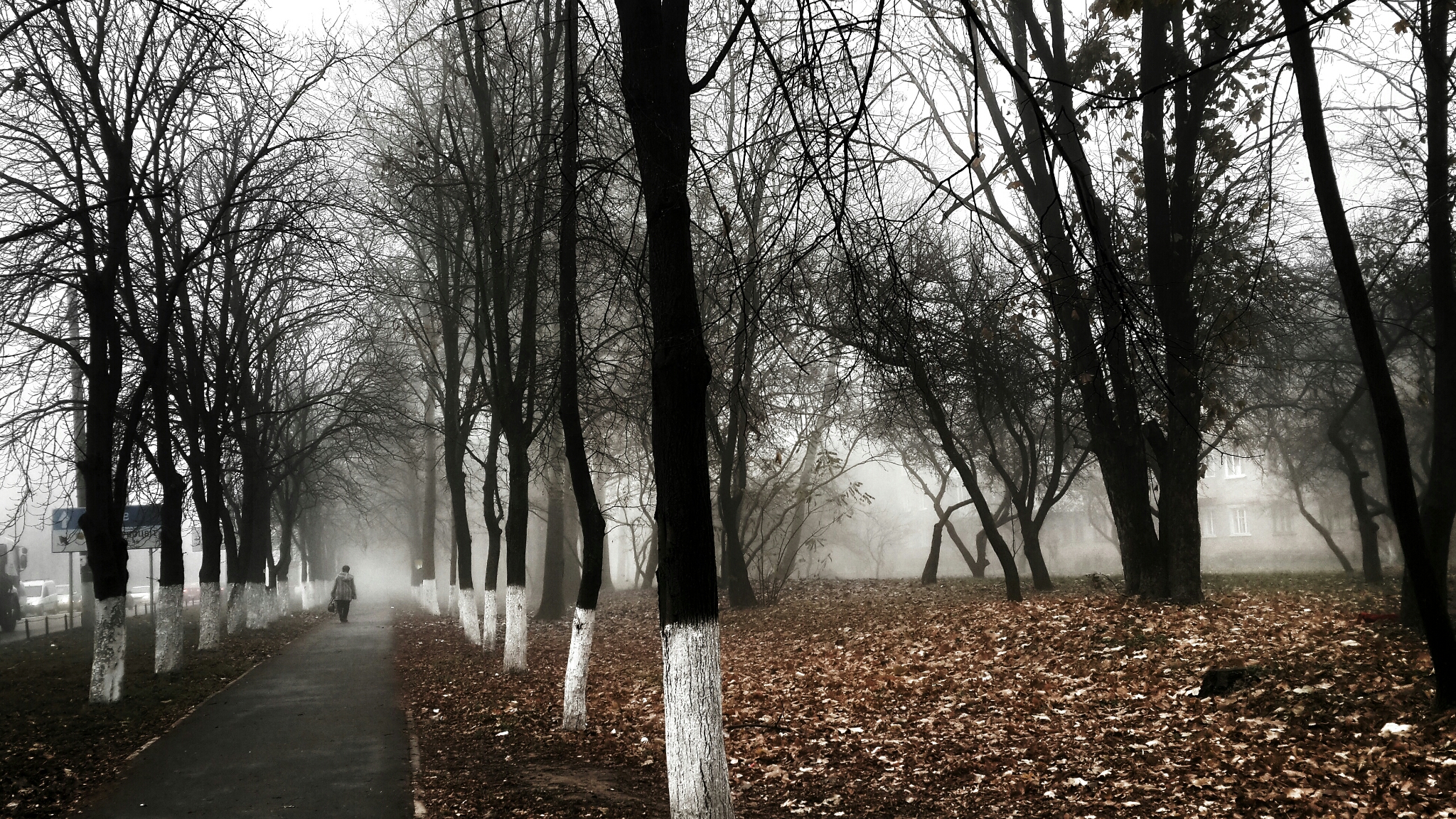 Picsart banner for @ukraine